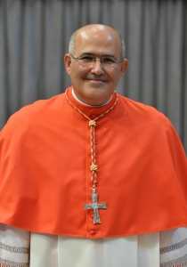 Card. José Tolentino de Mendonça